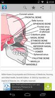 Medical ภาพหน้าจอ 1