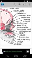 Nursing স্ক্রিনশট 1