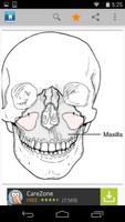 Dental ภาพหน้าจอ 3