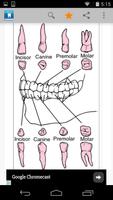 Dental ภาพหน้าจอ 1