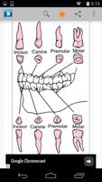 1 Schermata Dental