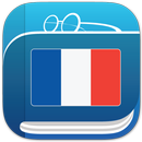 French Dictionary & Thesaurus APK