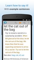 Idioms screenshot 3