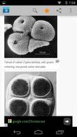 Science ภาพหน้าจอ 2