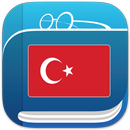 Türkçe Sözlük APK