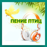 пение птиц определитель