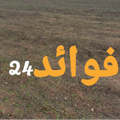 فوائد 24