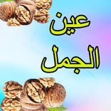 فوائد عين الجمل
