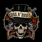 Guns N' Roses Popular Songs | Video Collection icône