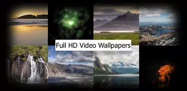 4K Video Live Wallpapers