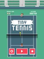 Tiny Tennis Affiche