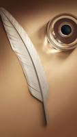 برنامه‌نما Feather wallpaper عکس از صفحه