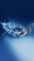 برنامه‌نما Feather wallpaper عکس از صفحه