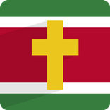 Suriname Bribi
