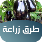 طرق زراعة الخضراوات والفواكه アイコン