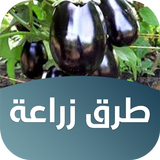 طرق زراعة الخضراوات والفواكه biểu tượng