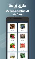 طرق زراعة الخضراوات والفواكه bài đăng