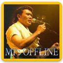 Lagu Dangdut Rhoma Irama Offline APK