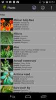 Uganda Medicinal Plants poster