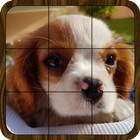 Puzzle: Landscapes, Pets & Animals, Flowers & More アイコン