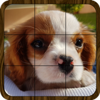 Puzzle: Landscapes, Pets & Ani icon