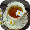 Tea Quotes icon