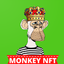 APK Monkey NFT - Motion Art