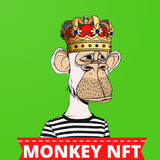 Monkey NFT - Motion Art