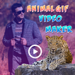 Animal GiF Video Maker