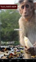 Brainwashed Ungrateful Monkeys poster