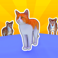 Stray Cat