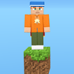 One Block Skyblock Zeichen
