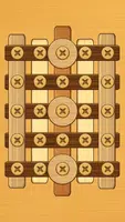 Screw Puzzle screenshot 3