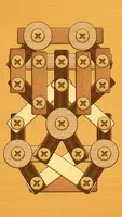 Screw Puzzle screenshot 5