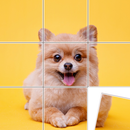APK Jigsort Puzzle Game
