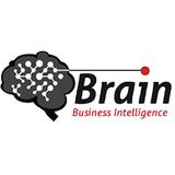 BI&A Brain Zeichen