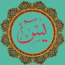Surah Yaseen Offline- Al Yasin APK