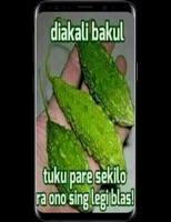 برنامه‌نما Dp Jawa Lucu عکس از صفحه