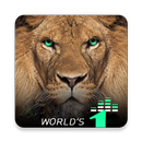 Motivation Adda- Fearless motivation Lite ⭐⭐⭐⭐⭐ APK