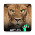 Motivation Adda- Fearless motivation Lite ⭐⭐⭐⭐⭐ иконка