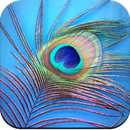 Feather Wallpaper HD APK