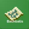 Bachbatis Coordenadas APK