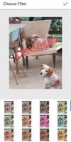 Create Photo montage - Editor screenshot 3