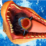 feed and grow fish (shrimp)