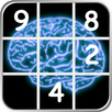 Crazy Sudoku APK