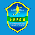 FEFAB