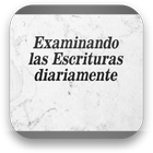 textodiario icône