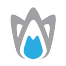 FELG Dent - Manage your Dental APK