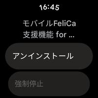 モバイルFeliCa支援機能 for Wear OS 스크린샷 2