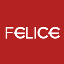 hair FELICE aplikacja